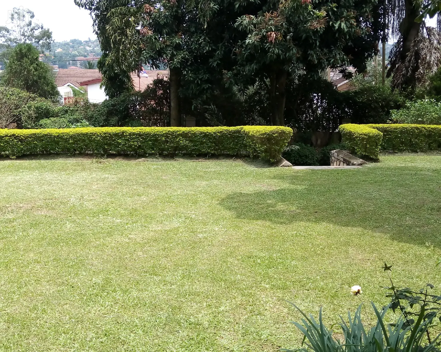 3 Bedroom House In Bugolobi For Rent in Kampala