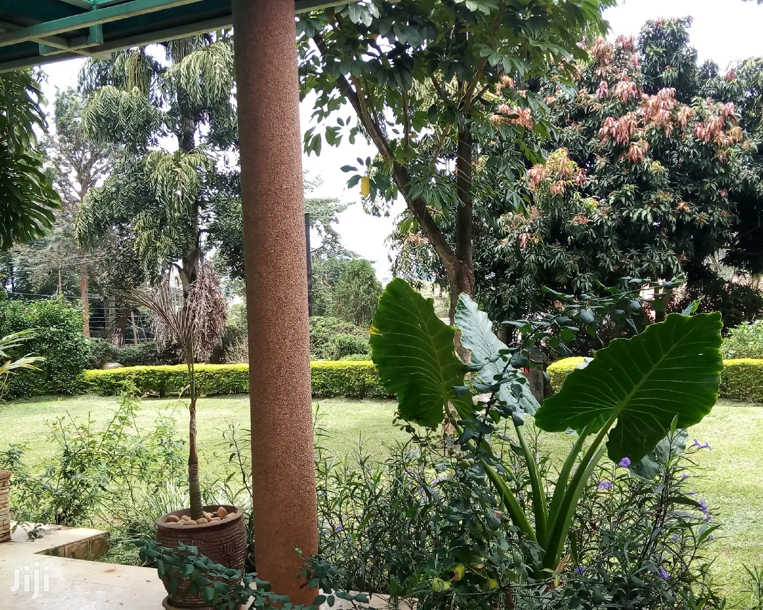 3 Bedroom House In Bugolobi For Rent in Kampala