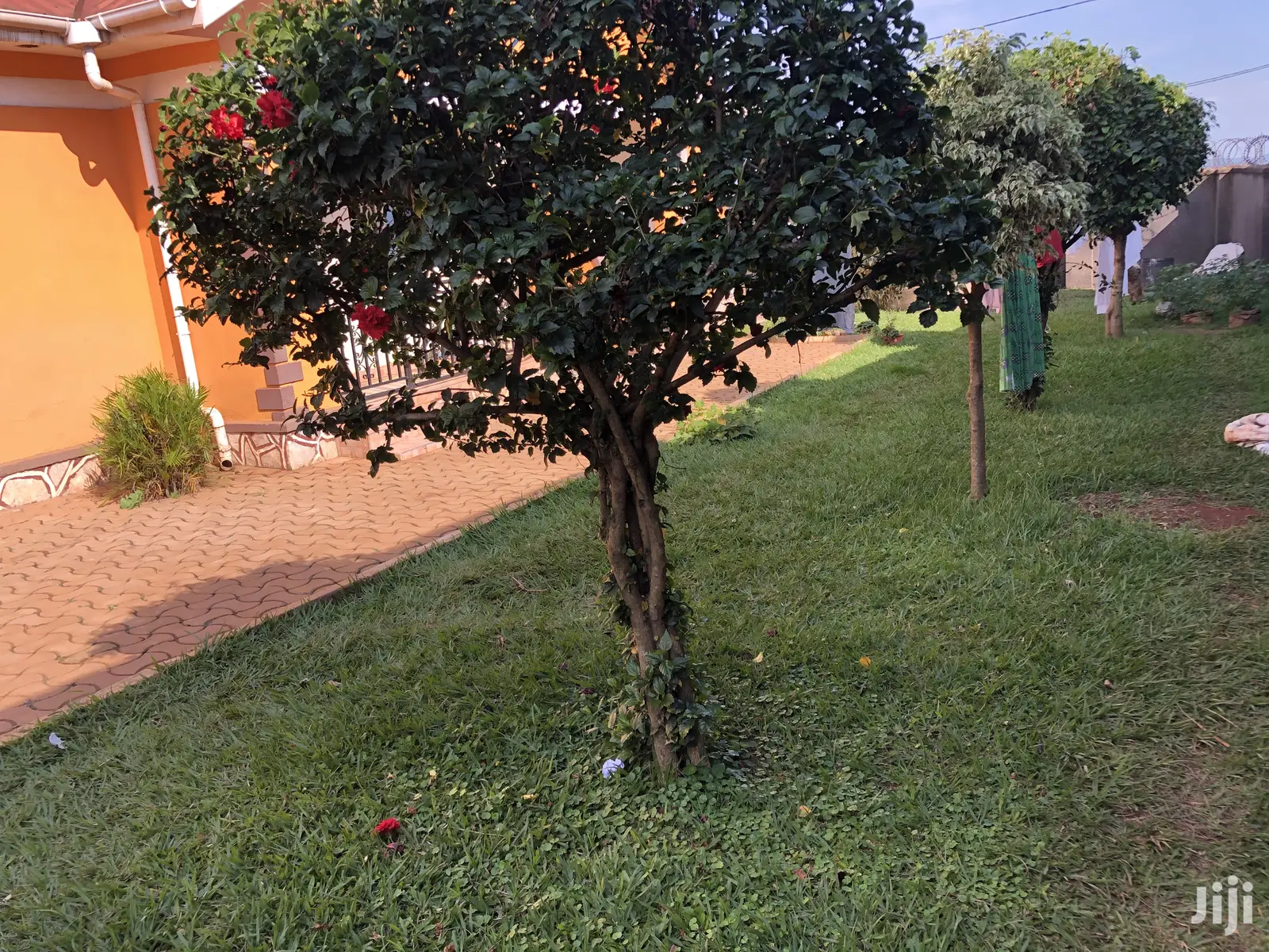 3 Bedroom 4 Unit Rentals in Namugongo Buto on Sell in Kampala