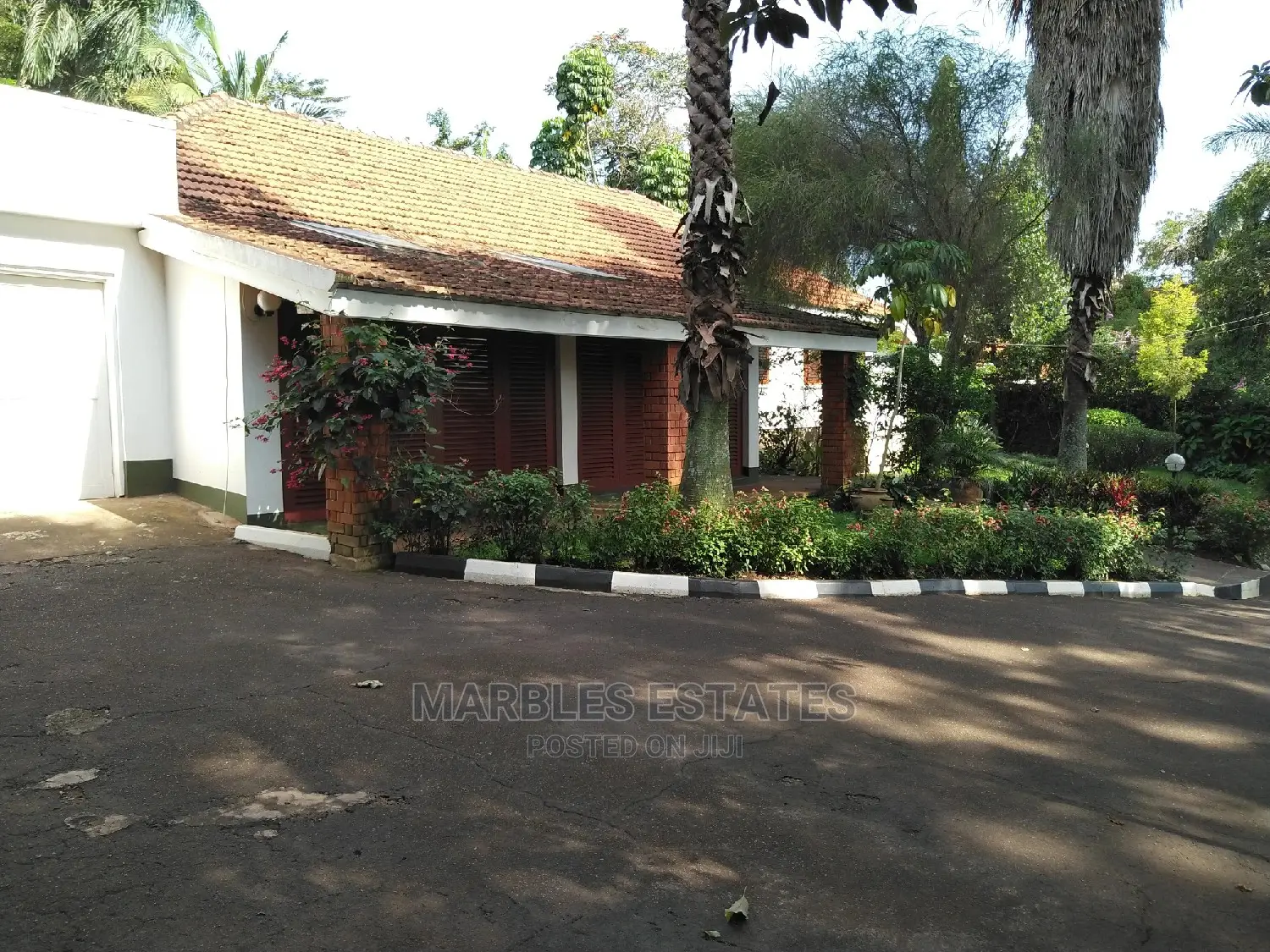 Nice House For Rent In Bugolobi With A Pool in Kampala