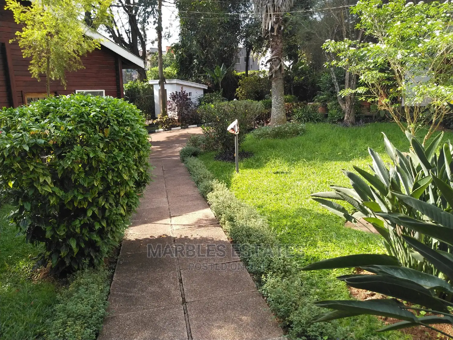 Nice House For Rent In Bugolobi With A Pool in Kampala