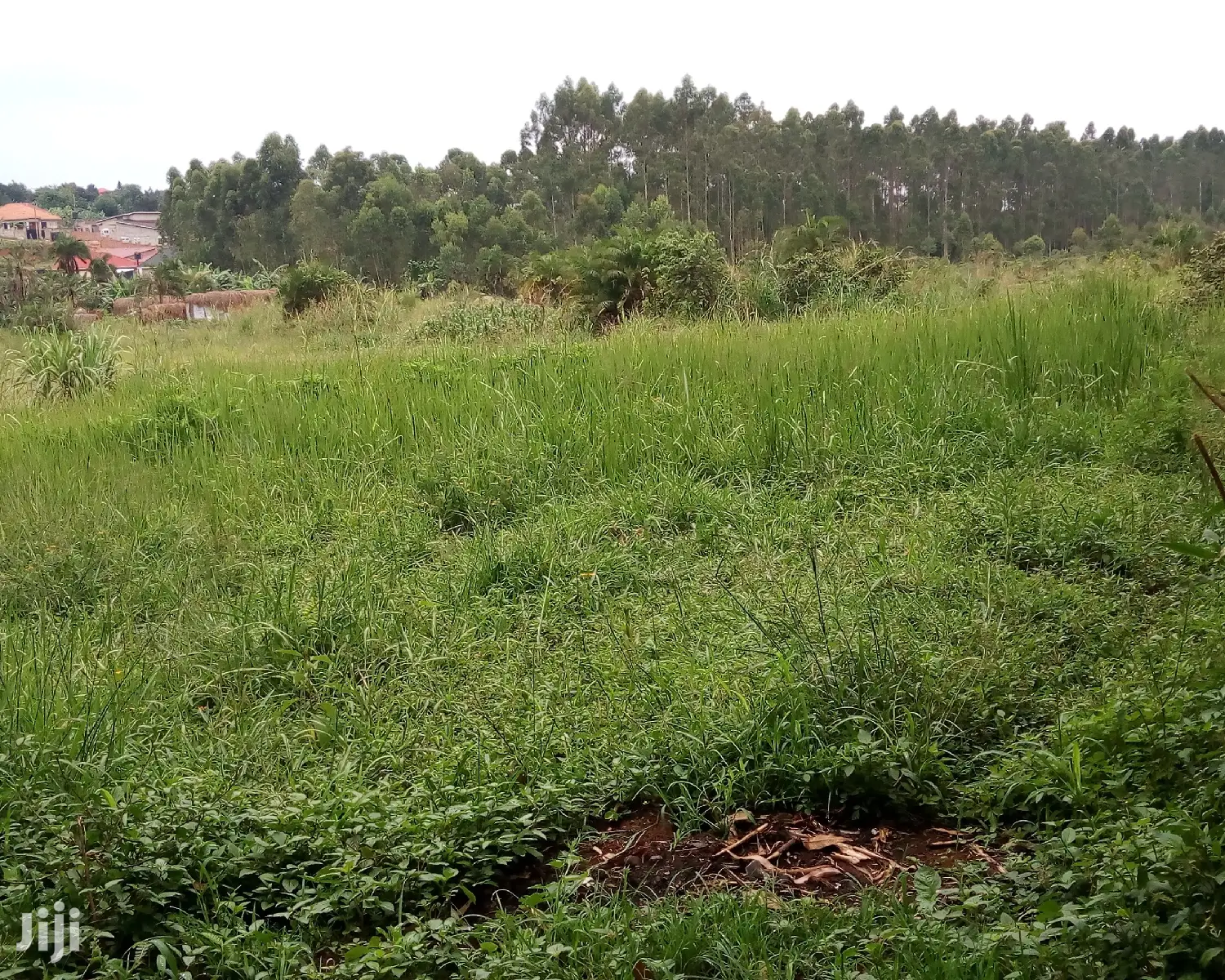 Plots for Sale in Buwate in Division A