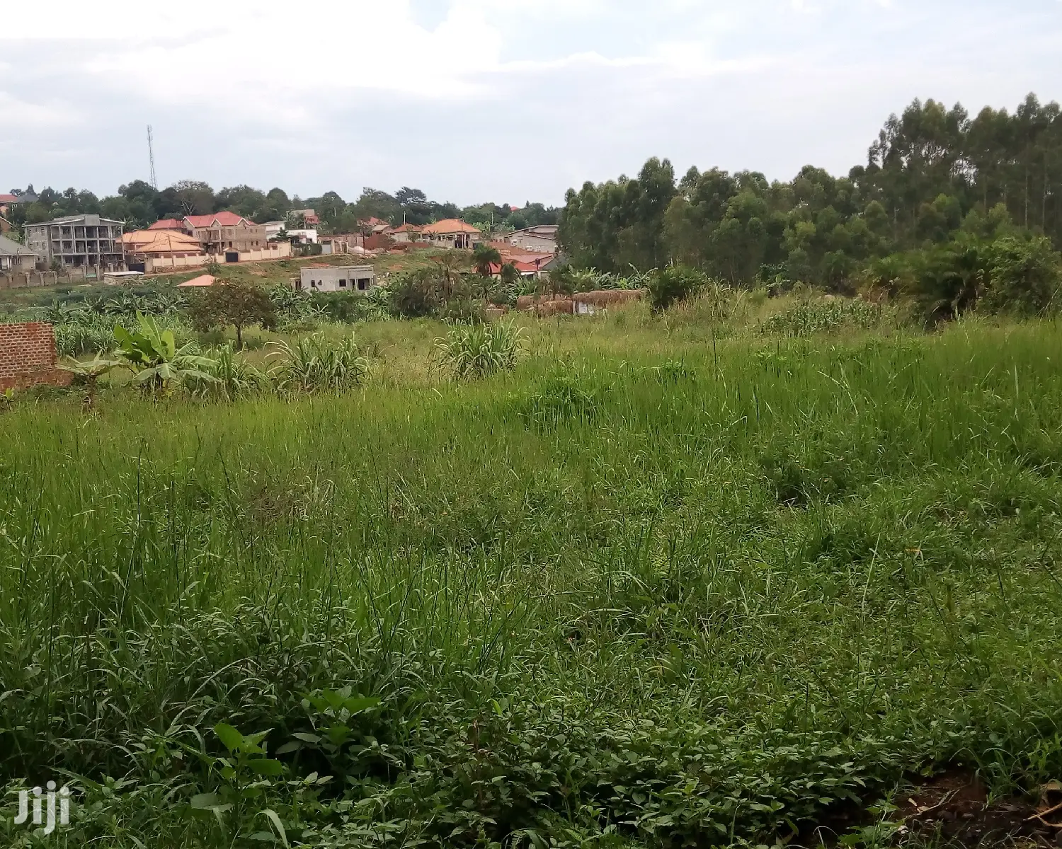 Plots for Sale in Buwate in Division A