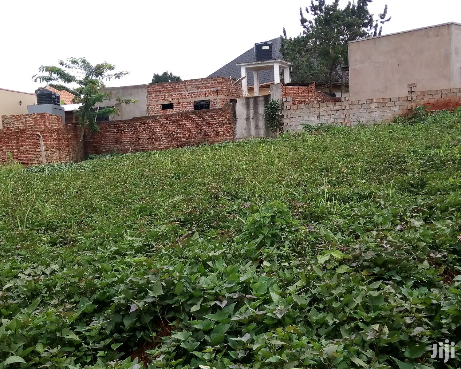 Plot Is on Sale in Buwate in Wakiso