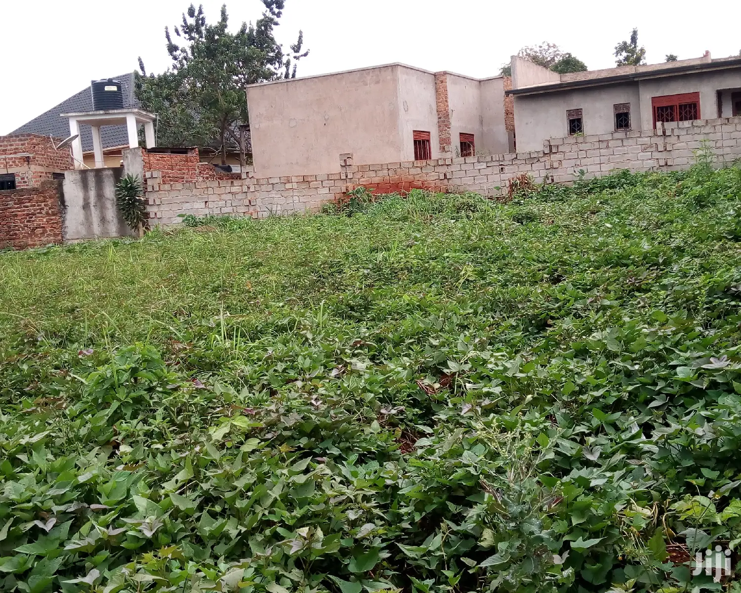 Plot Is on Sale in Buwate in Wakiso