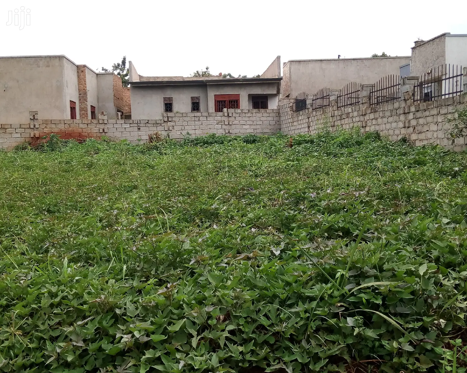Plot Is on Sale in Buwate in Wakiso