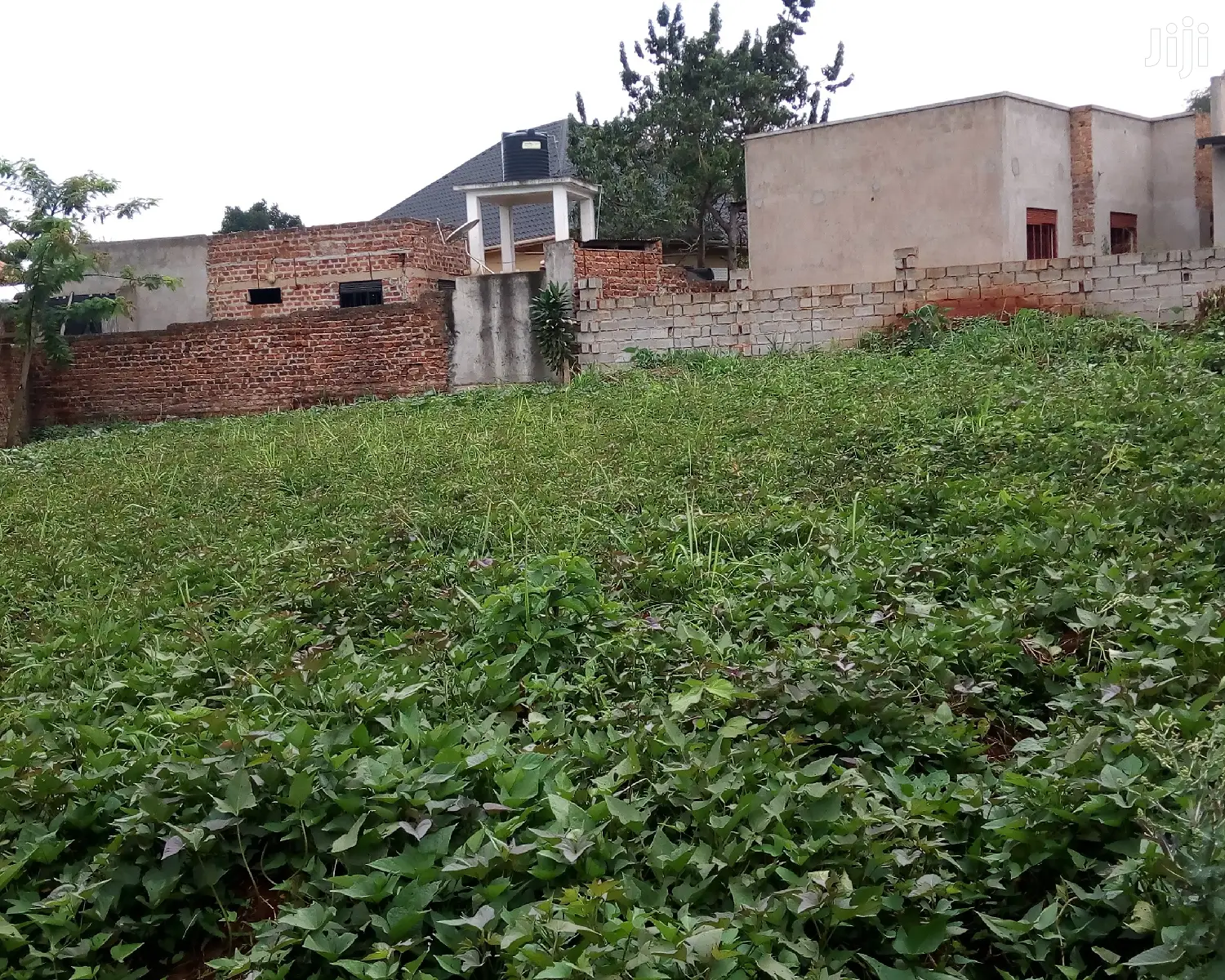 Plot Is on Sale in Buwate in Wakiso