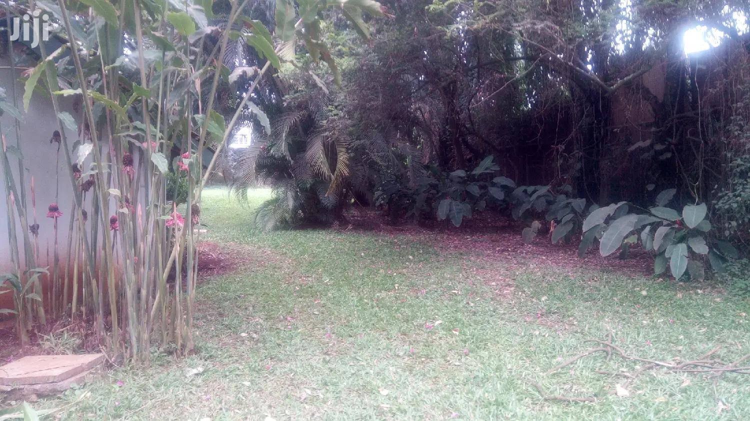 4 Bedroom House In Kololo For Rent in Kampala