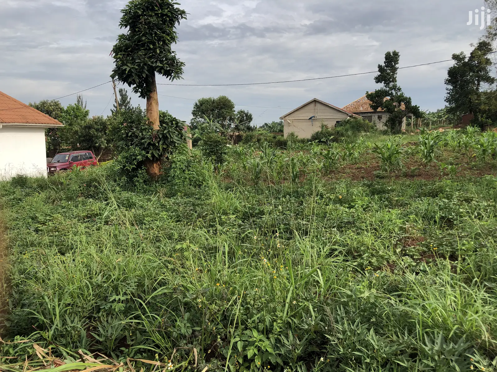 Kira Kimwani 25 Deximals Near Tarmack on Sell in Kampala