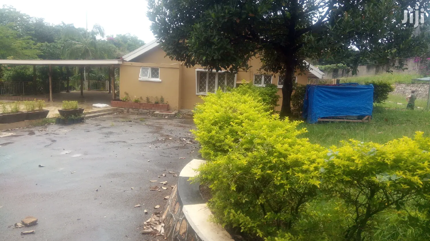 Green Field Banglow in Kampala