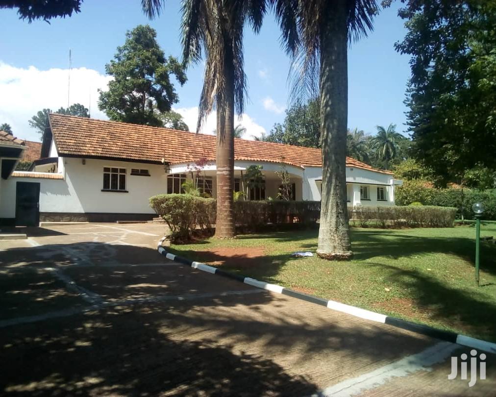 A Colonial Banglow For Rent As Office in Kampala