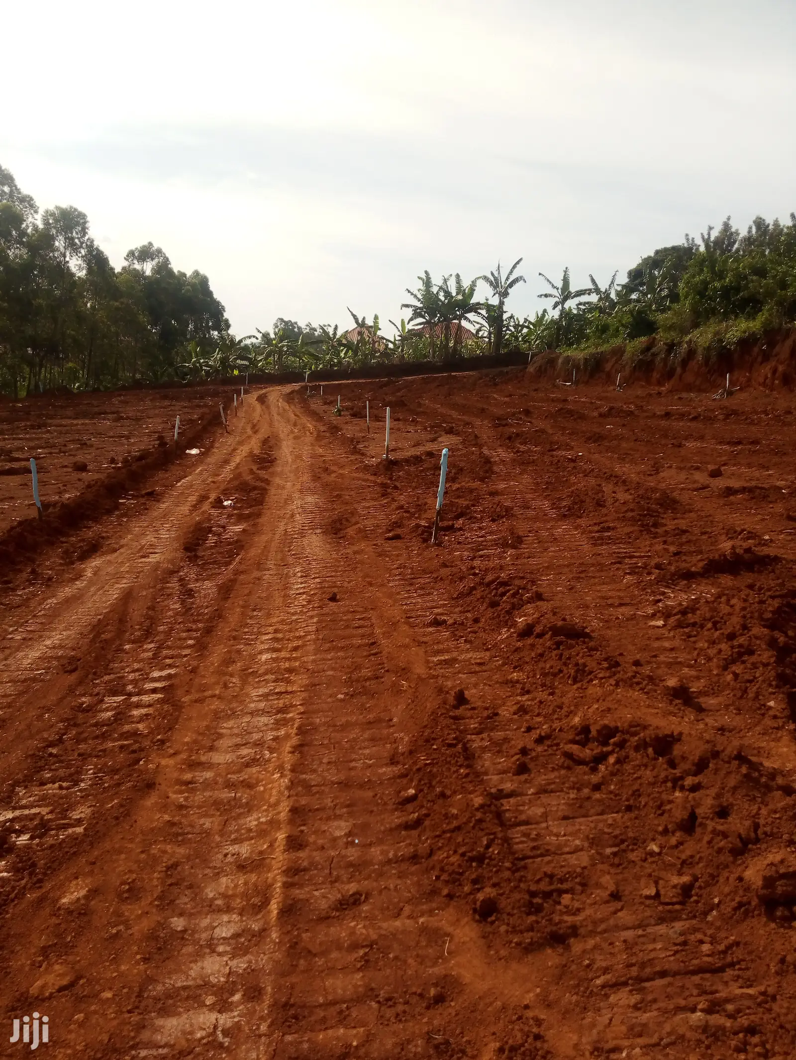 Plot for Sale 50x30ft at at 35m Ugx Bira Bujjuko Town in Central Division