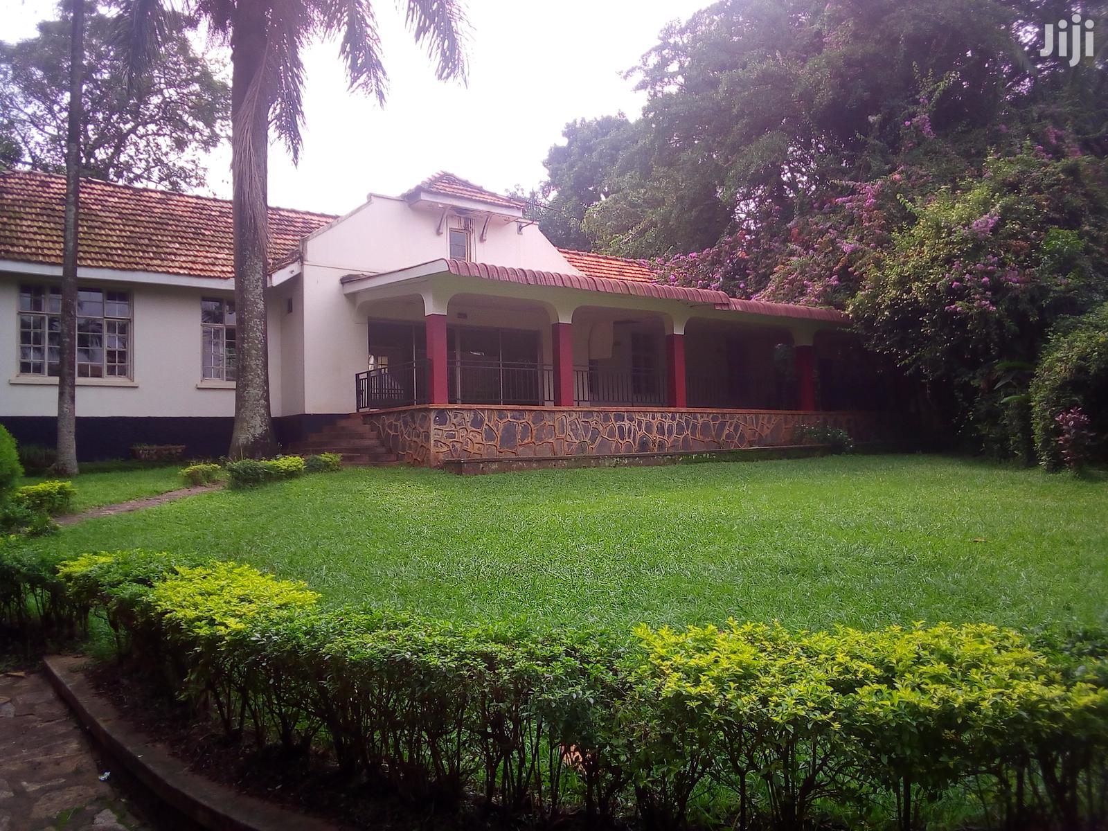 Three Bedroom House In Kololo For Rent in Kampala