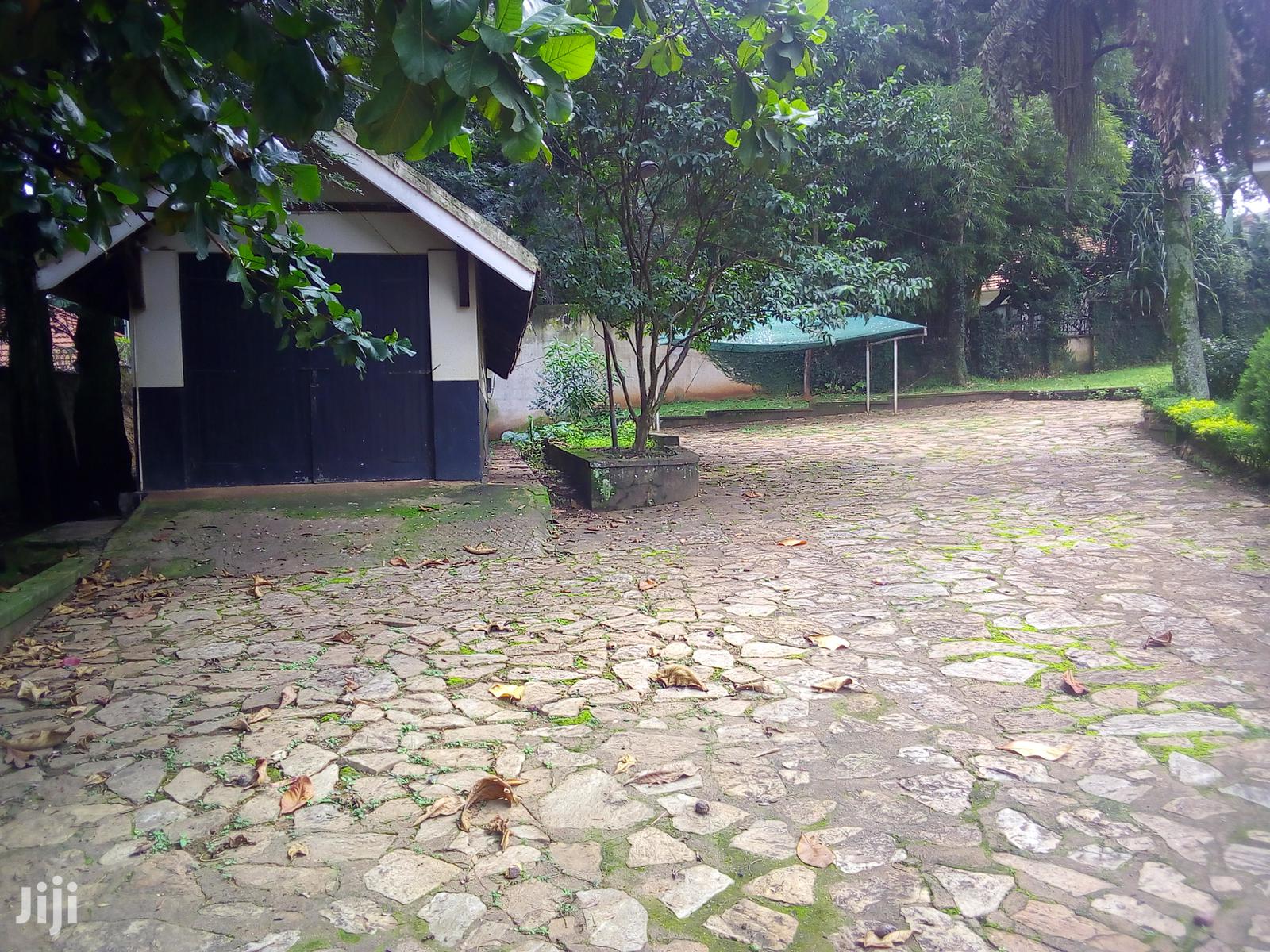 Three Bedroom House In Kololo For Rent in Kampala