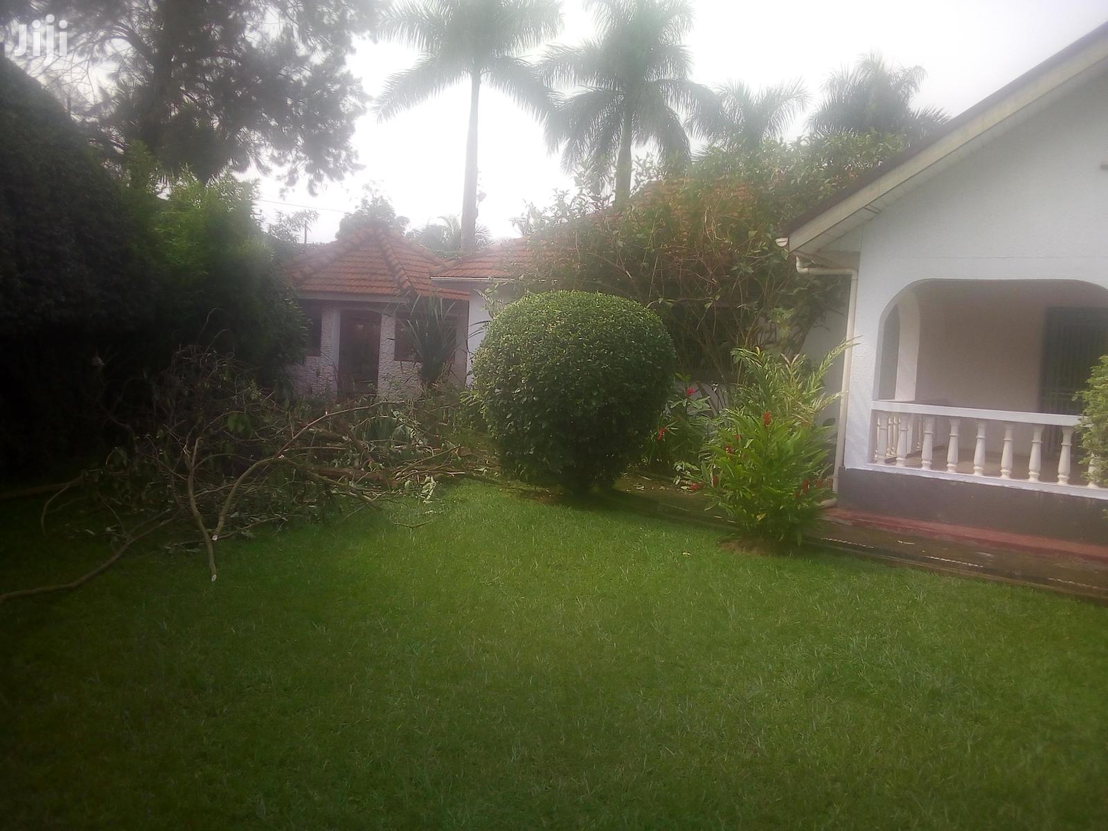 Three Bedroom House In Kololo For Rent in Kampala