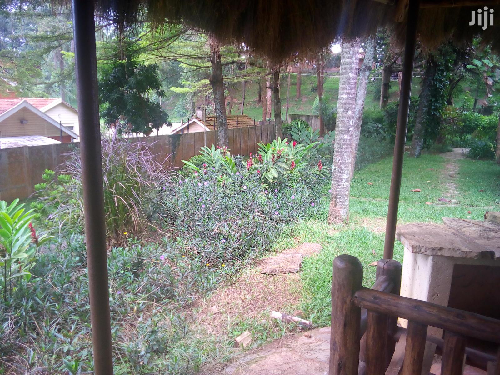 Five Bedroom House In Kololo For Rent in Kampala