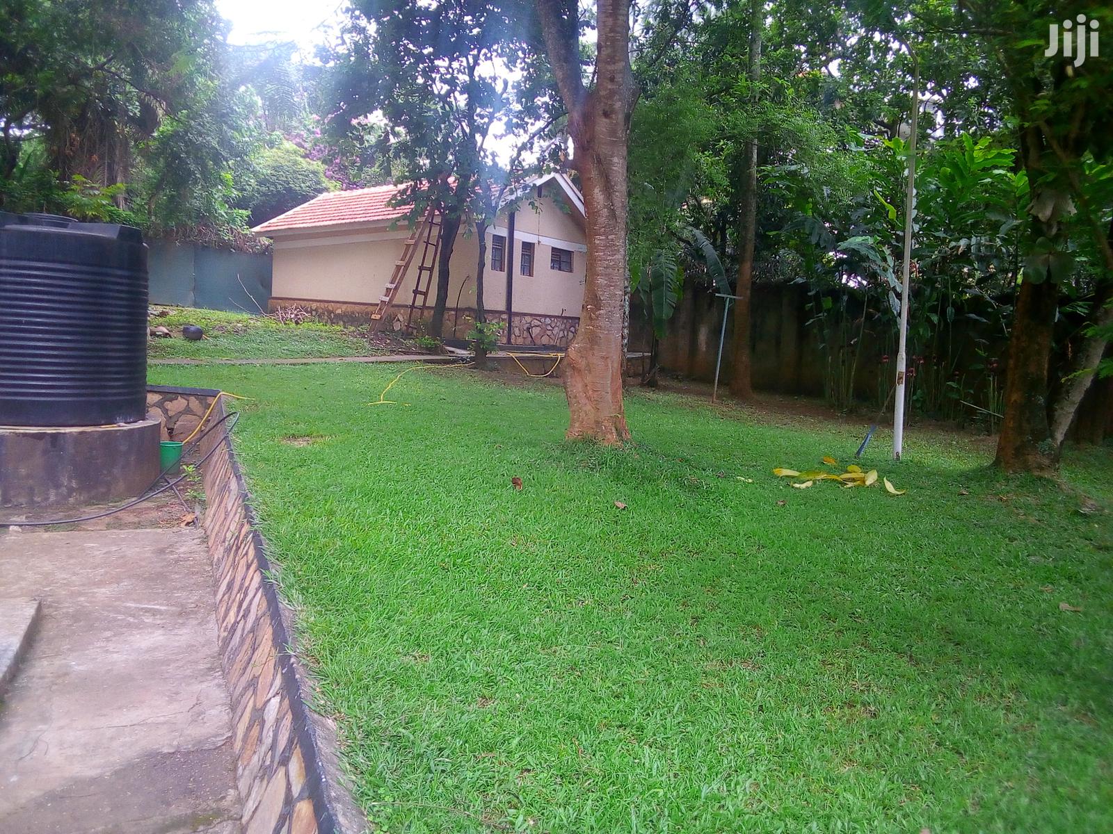 Five Bedroom House In Kololo For Rent in Kampala