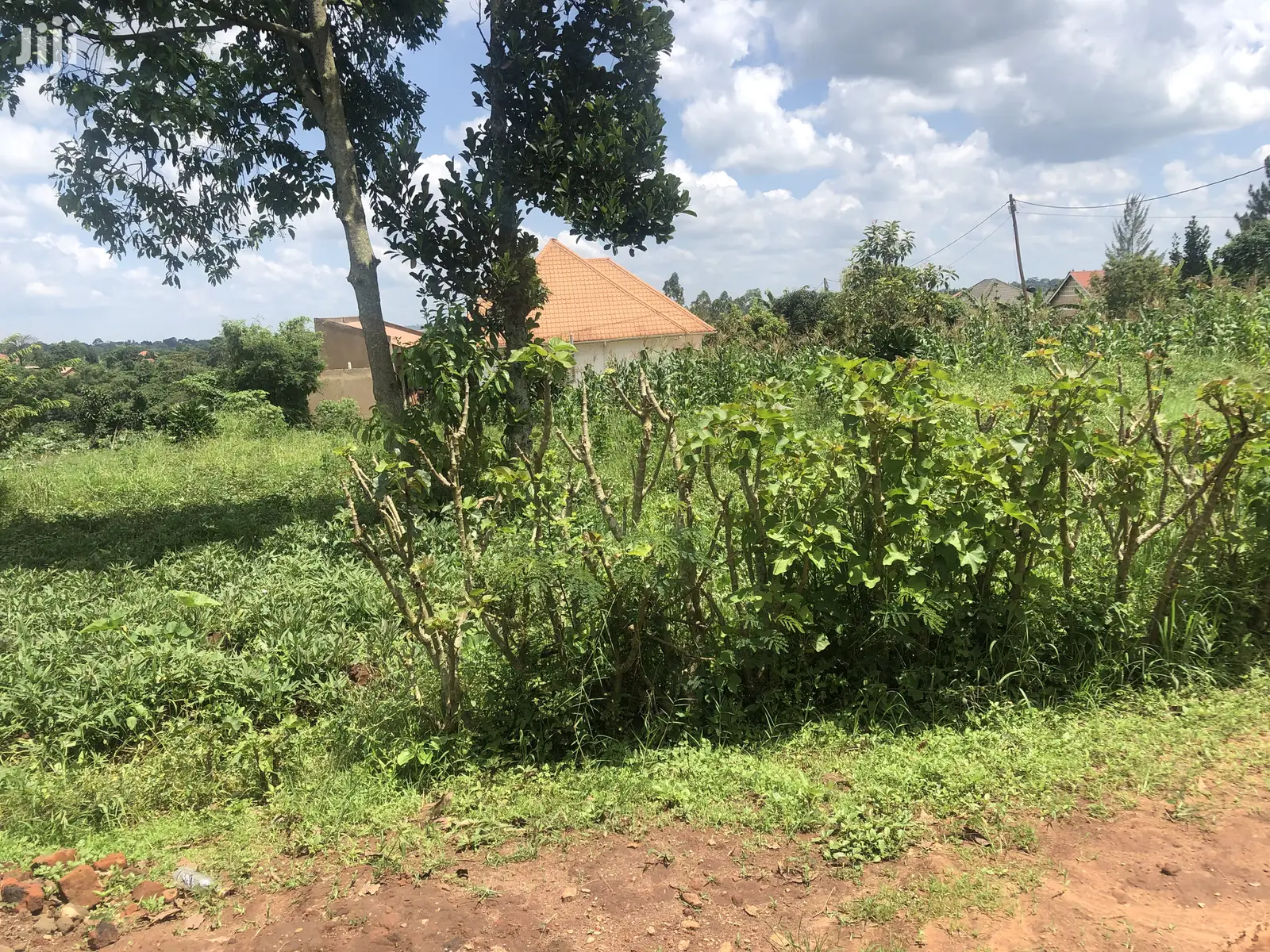 Kira 25 Decimals Land Near Tarmack on Sell in Kampala