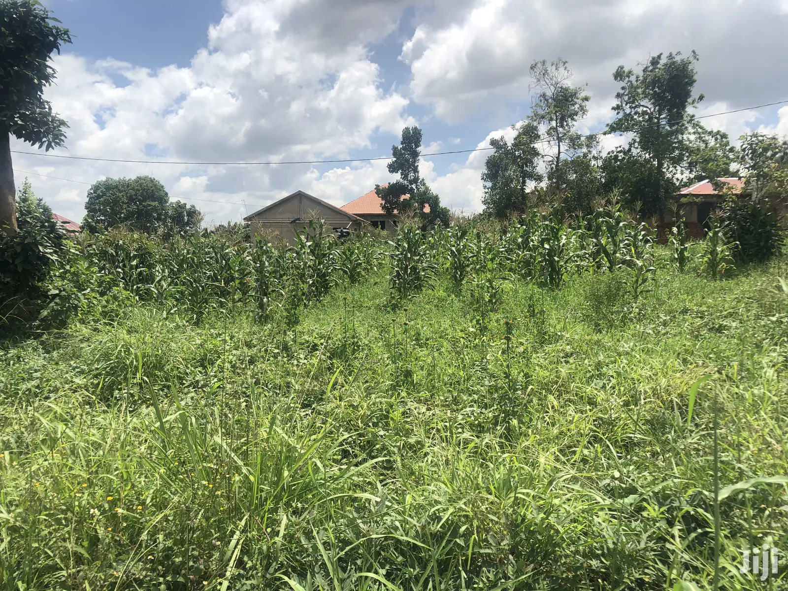 Kira 25 Decimals Land Near Tarmack on Sell in Kampala