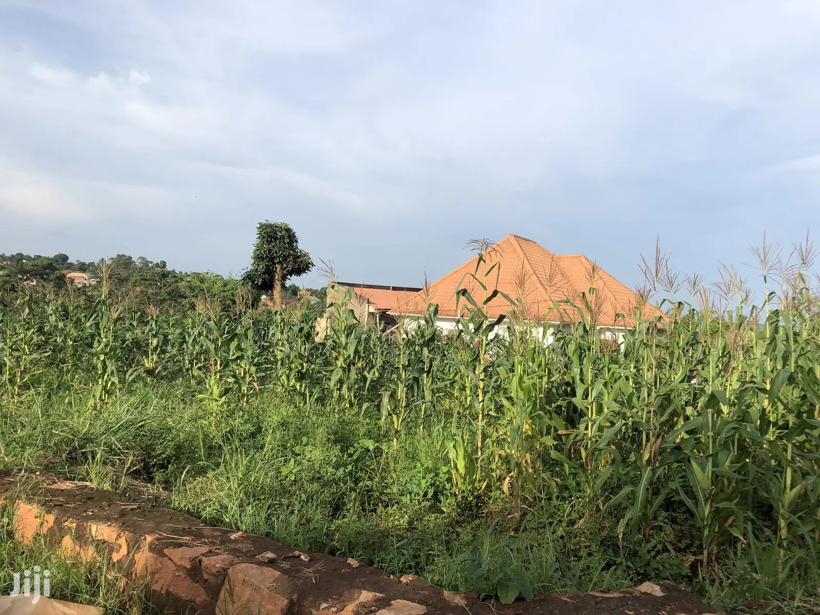 Kiira 25 Decimals Near Tarmack on Sell in Kampala