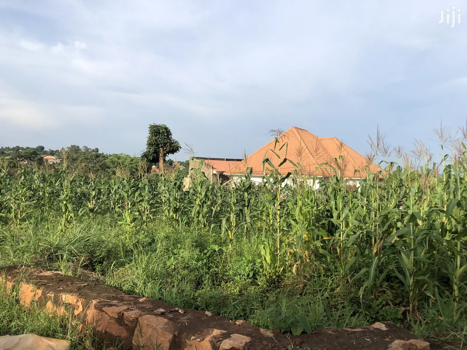 Kiira 25 Decimals Near Tarmack on Sell in Kampala