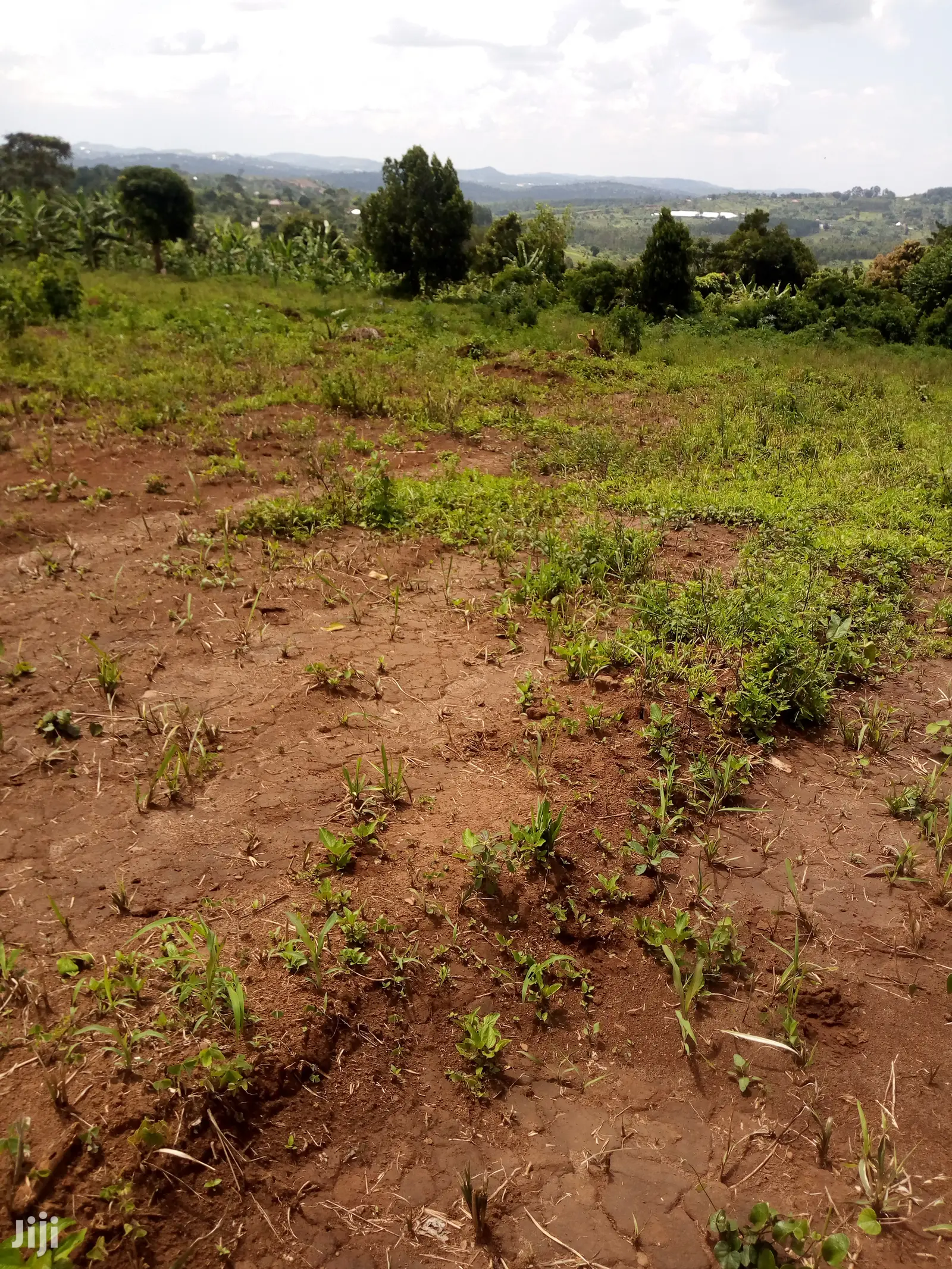 Plot for Sale 40x60ft at 12m Ugx Sentema Kusaza in Central Division
