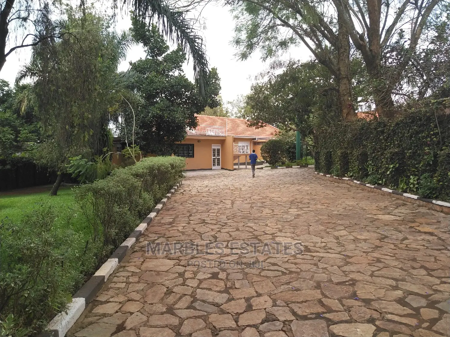 4 Bedroom House In Muyenga For Rent in Kampala