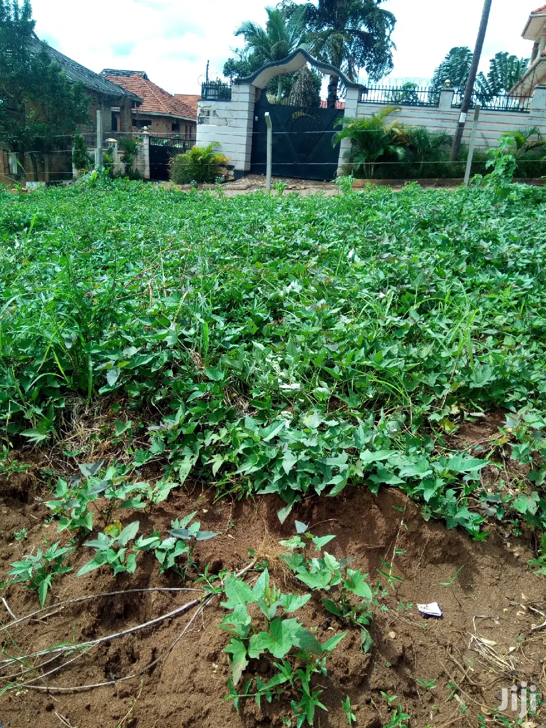 Kira Nice 25 Decimals Nnear Tarmack on Sell in Kampala