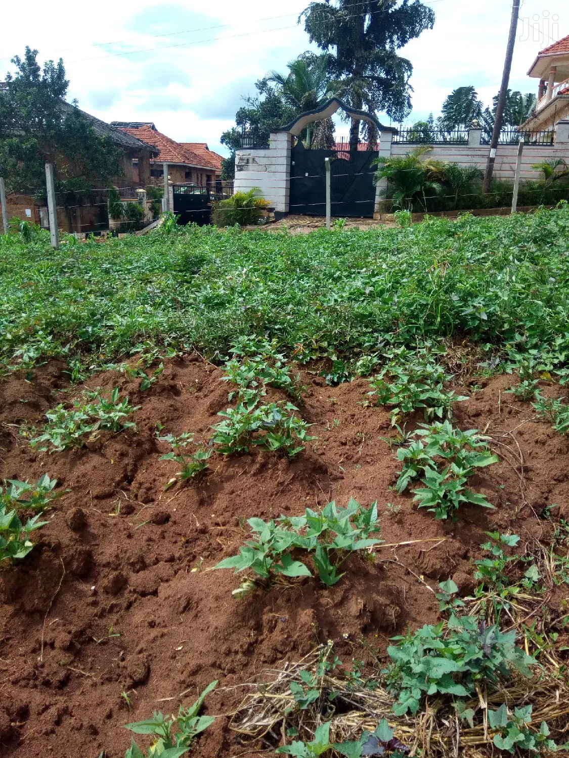 Kira Nice 25 Decimals Nnear Tarmack on Sell in Kampala