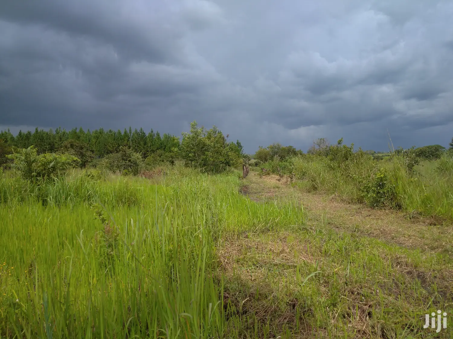 Farmland for Sale/Rent in Northern Uganda in Gulu
