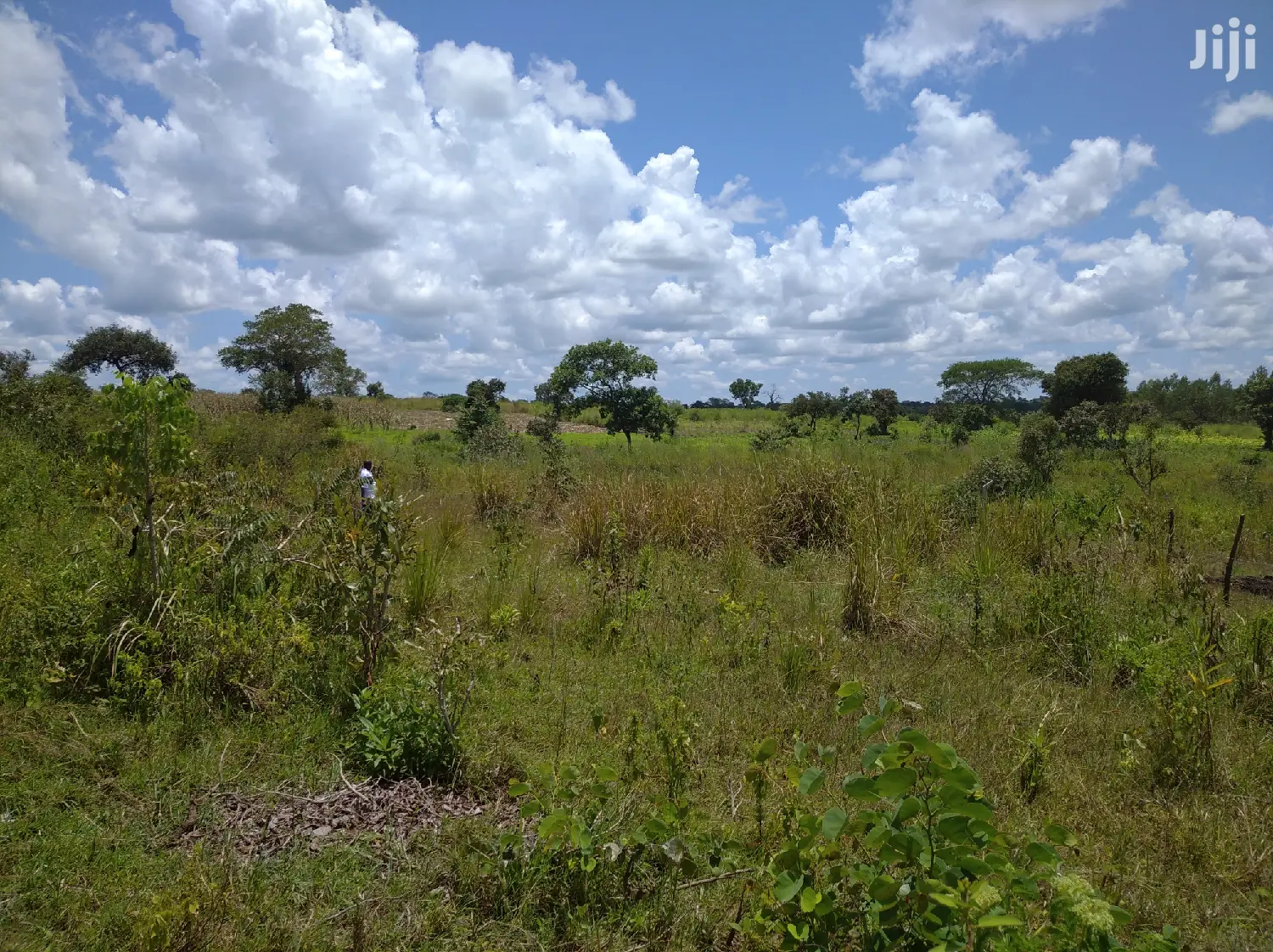 Farmland for Sale/Rent in Northern Uganda in Gulu