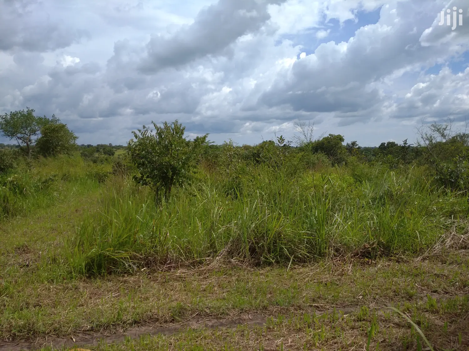 Farmland for Sale/Rent in Northern Uganda in Gulu