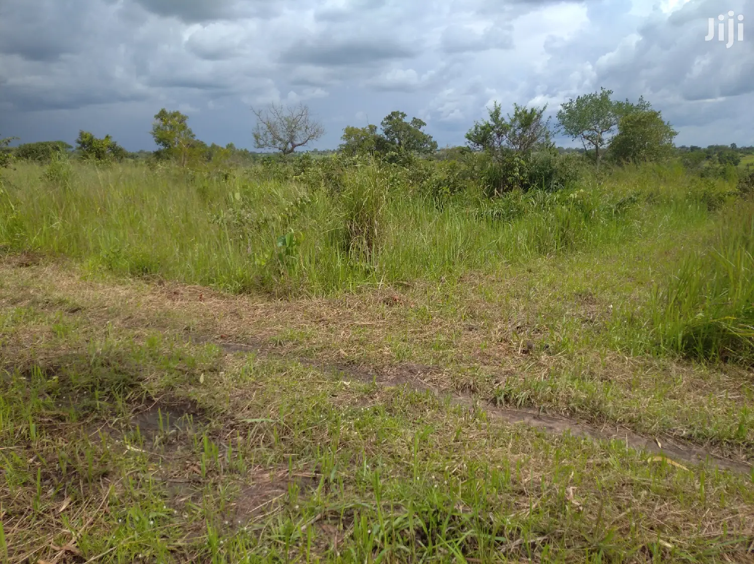 Farmland for Sale/Rent in Northern Uganda in Gulu