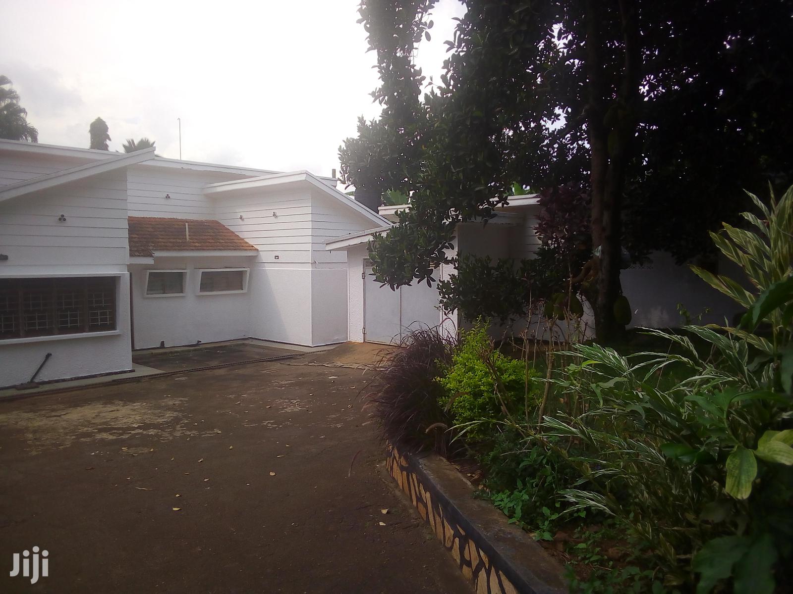 Three Bedroom House In Muyenga For Rent in Kampala