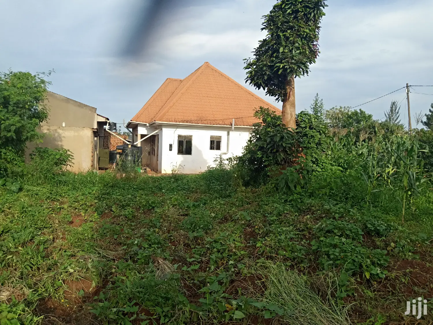 Kira 25 Decimal Land Near Tarmack on Quick Sell in Kampala