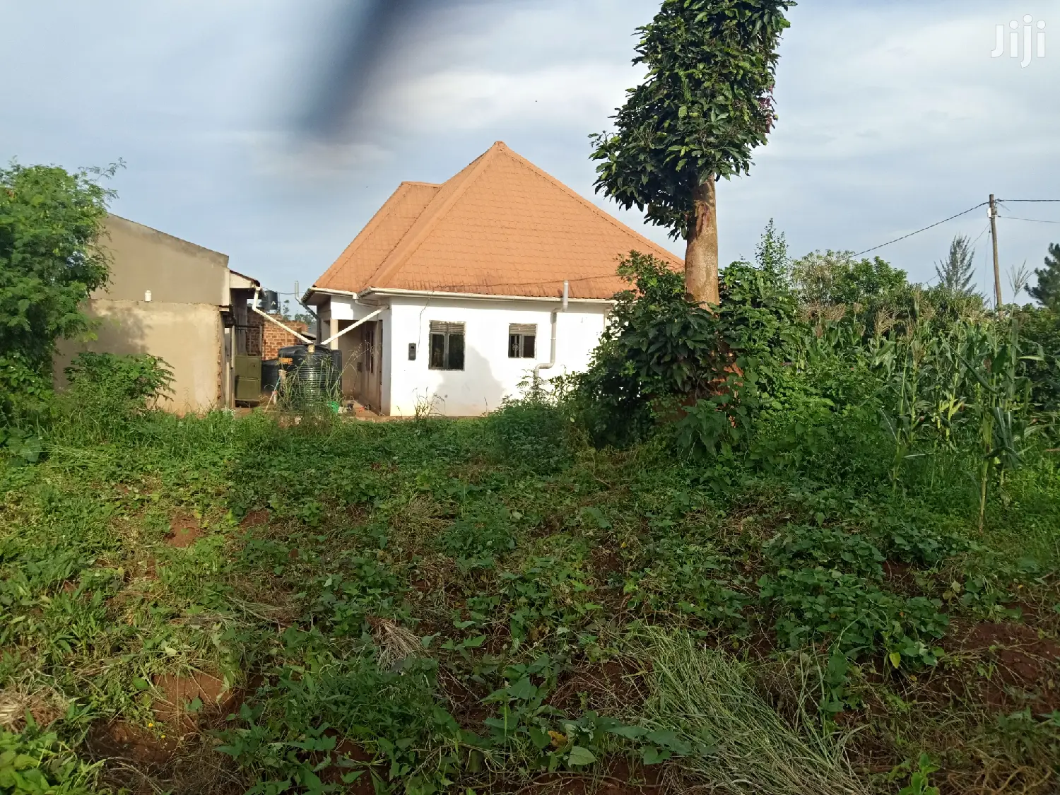 Kira 25 Decimal Land Near Tarmack on Quick Sell in Kampala