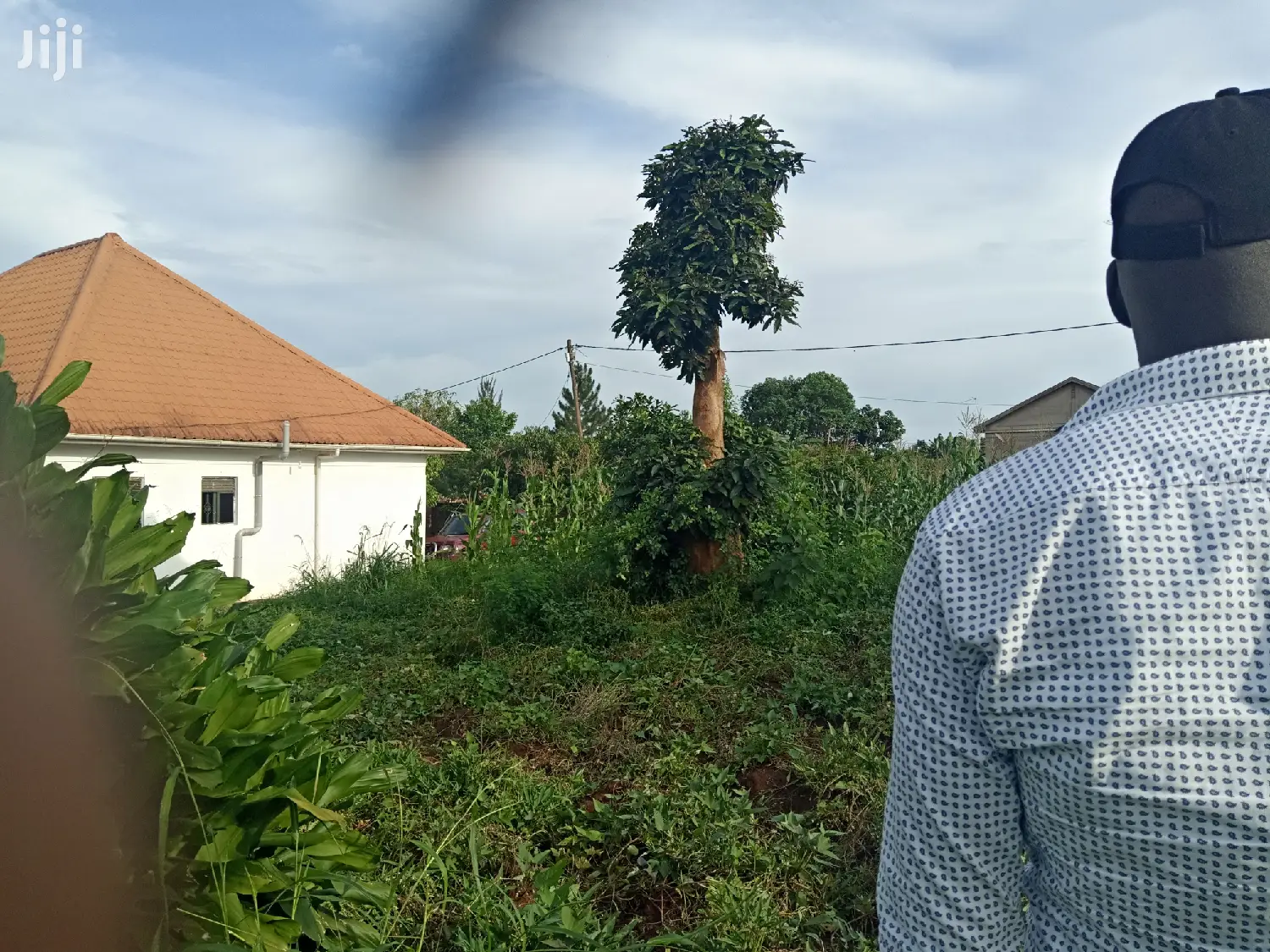 Kira 25 Decimal Land Near Tarmack on Quick Sell in Kampala