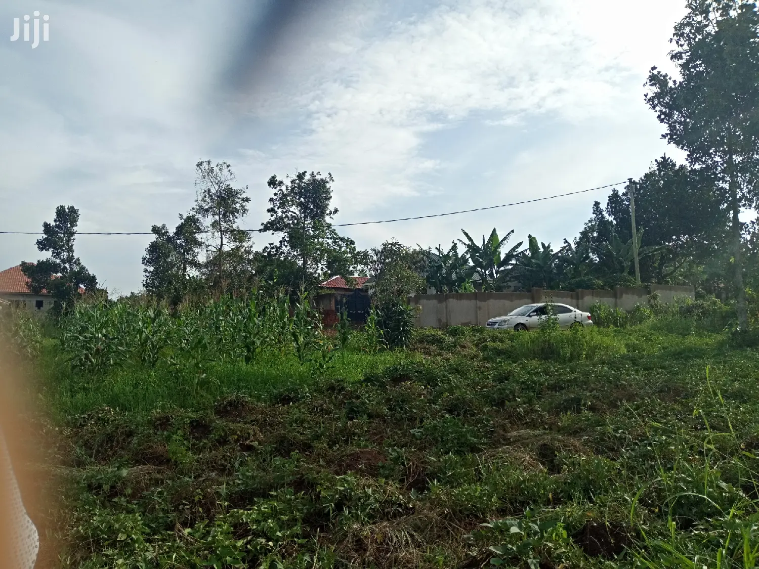 Kira 25 Decimal Land Near Tarmack on Quick Sell in Kampala