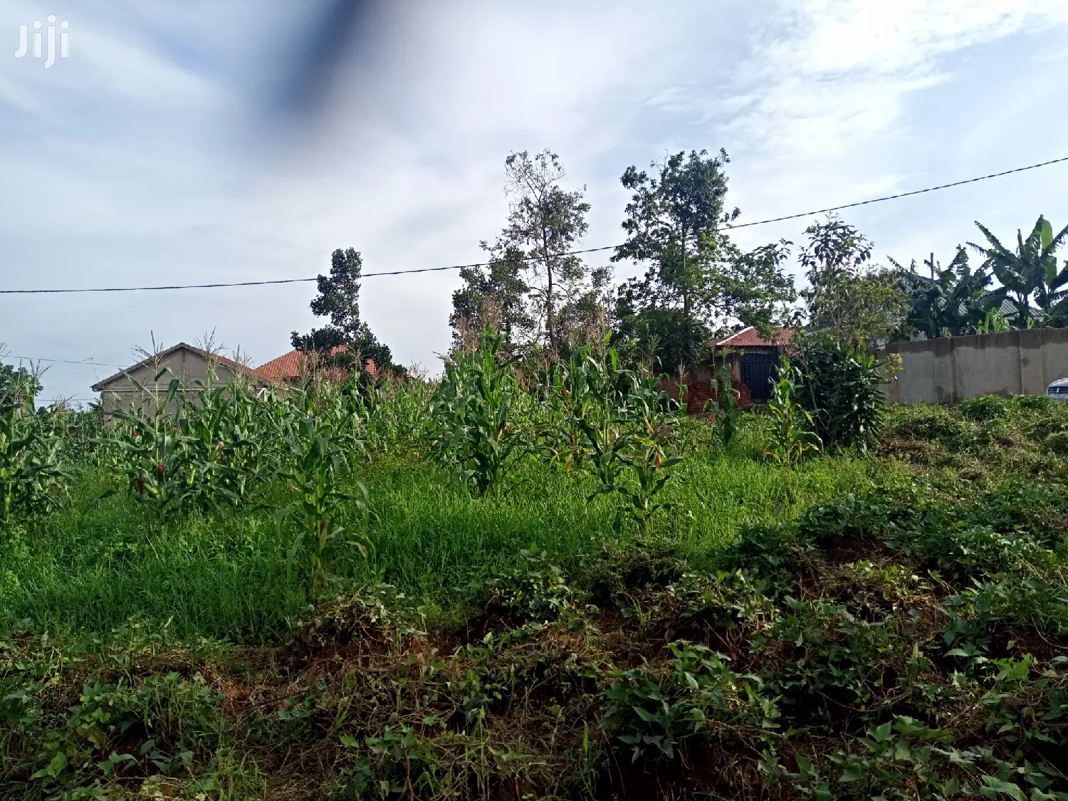 Kira 25 Decimal Land Near Tarmack on Quick Sell in Kampala