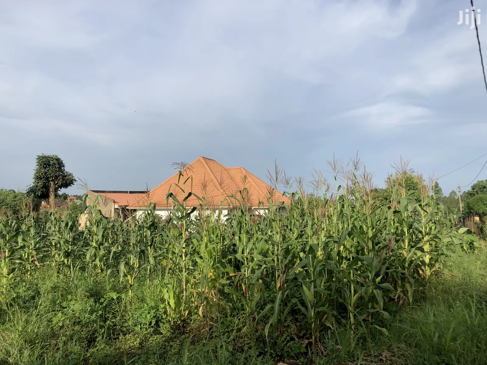 Kira Prime Plots Near the Tarmack on Sell in Kampala