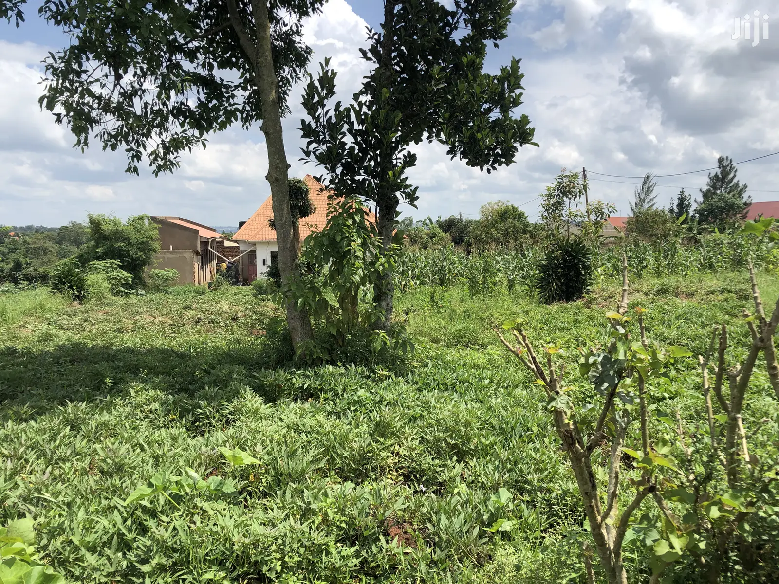 Kira Prime Plots Near the Tarmack on Sell in Kampala