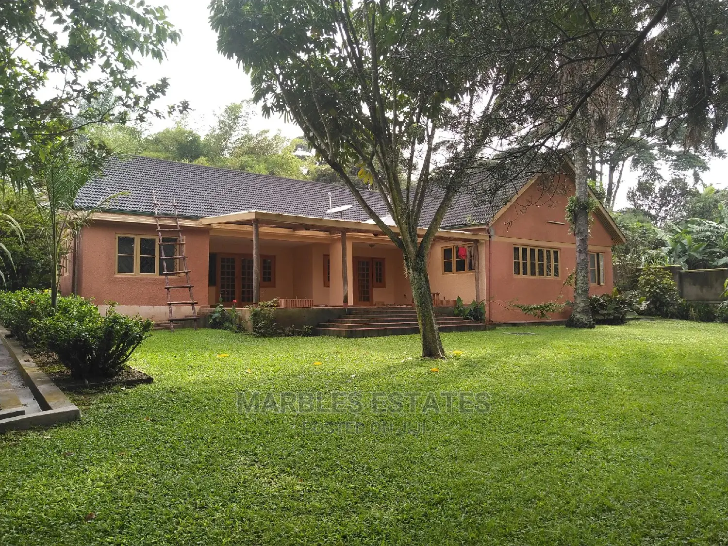 House For Rent In Bugolobi in Kampala