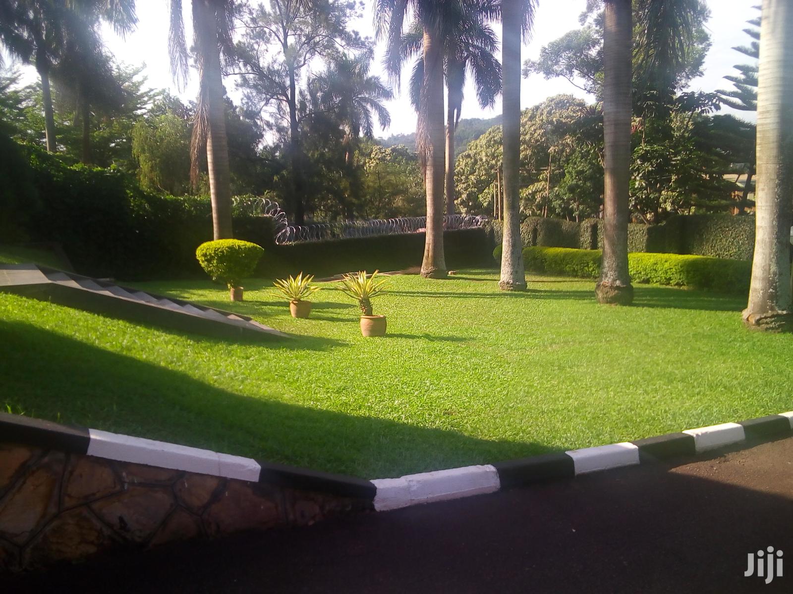 A Magnificent Banglow In Bugoloobi in Kampala