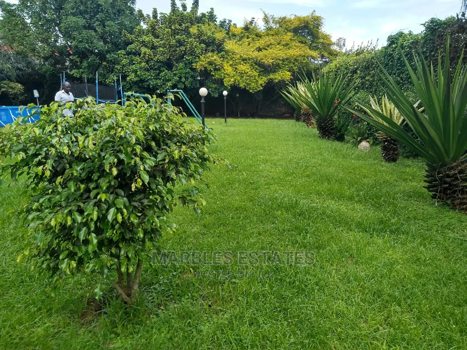 4 Bedrooms House For Rent In Bugolobi in Kampala