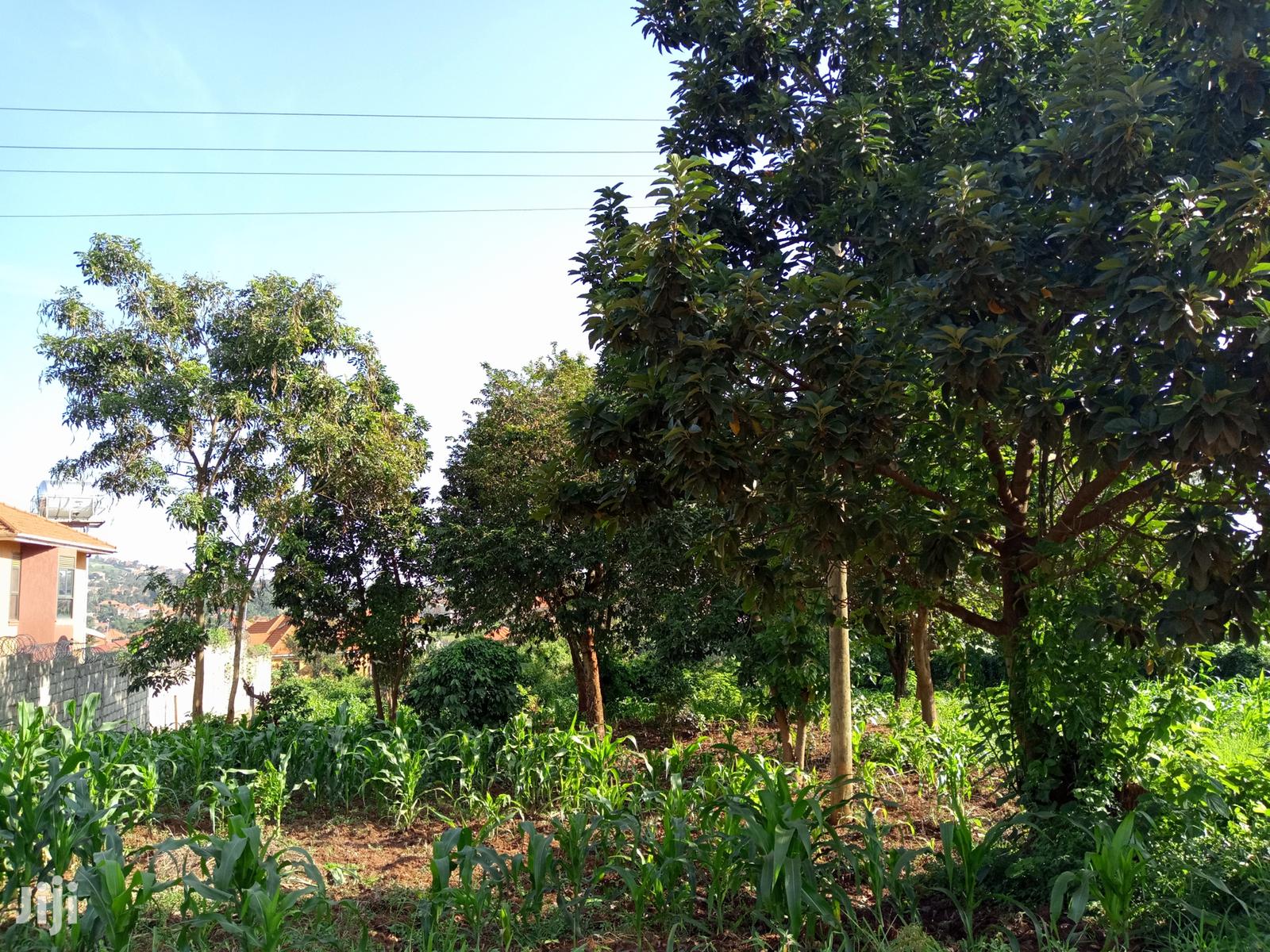 Kira Nice Plots on Sell in Kampala