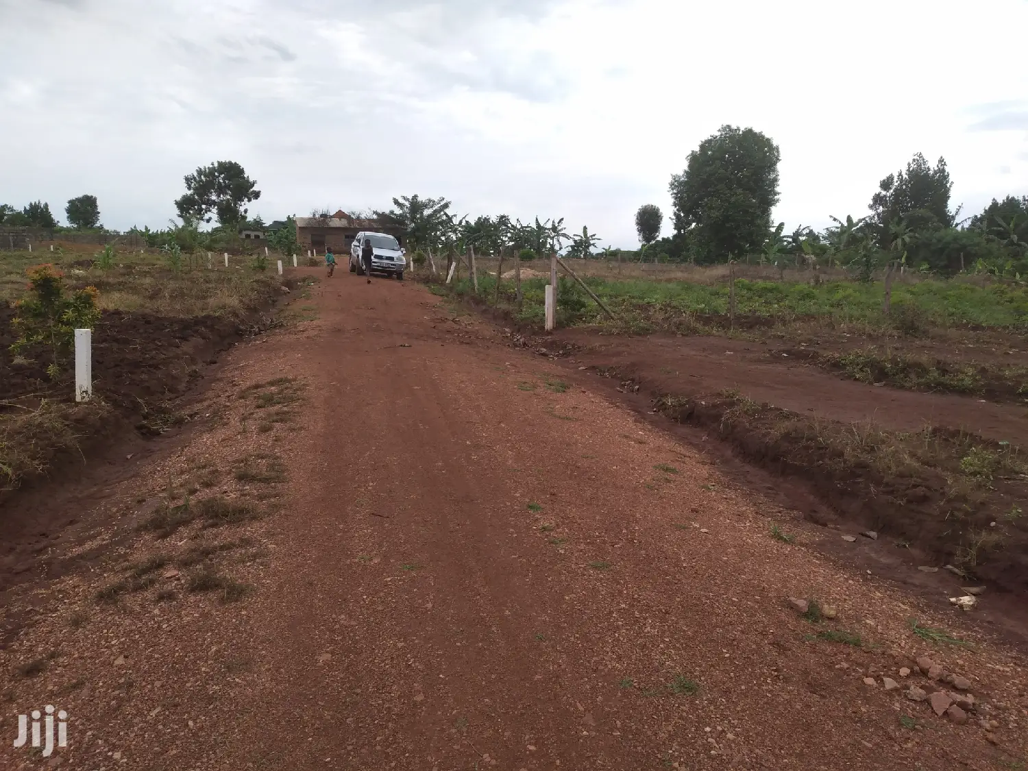 Classic Sweet Estate Land For Sale in Division B