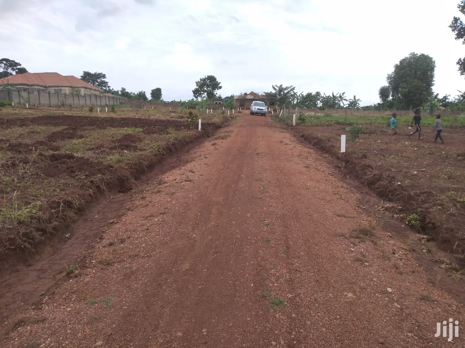 Classic Sweet Estate Land For Sale in Division B