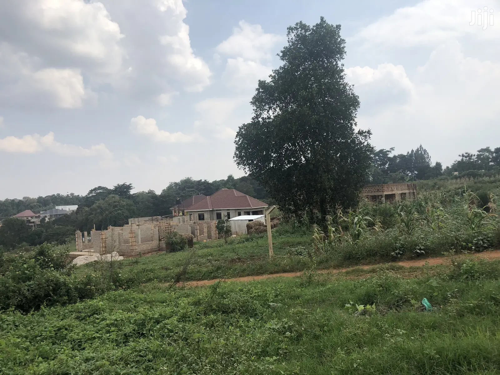 Kira 25 Decimals Lovely Land Near the Tarmack on Sell in Kampala