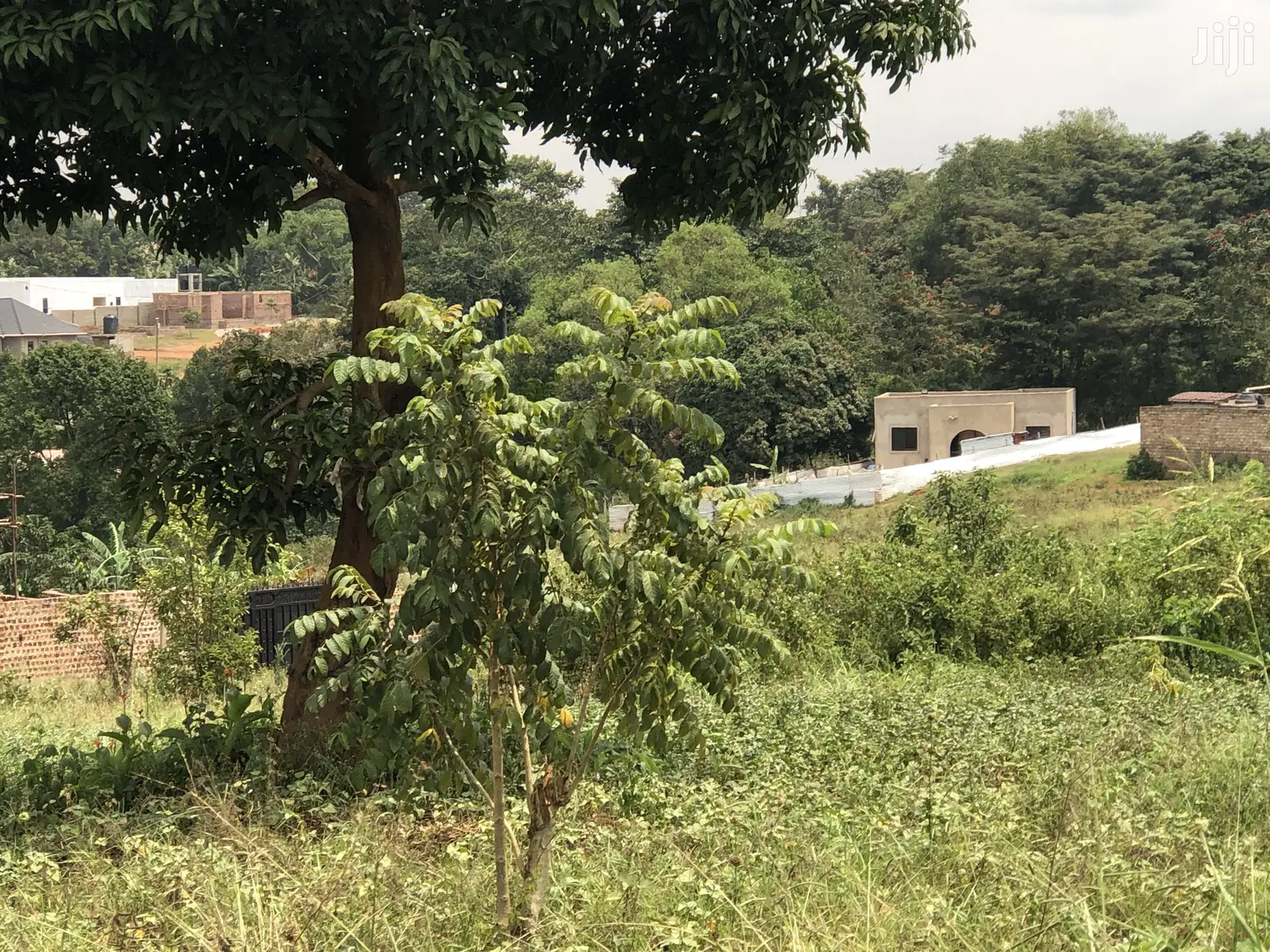 Kira 25 Decimals Lovely Land Near the Tarmack on Sell in Kampala