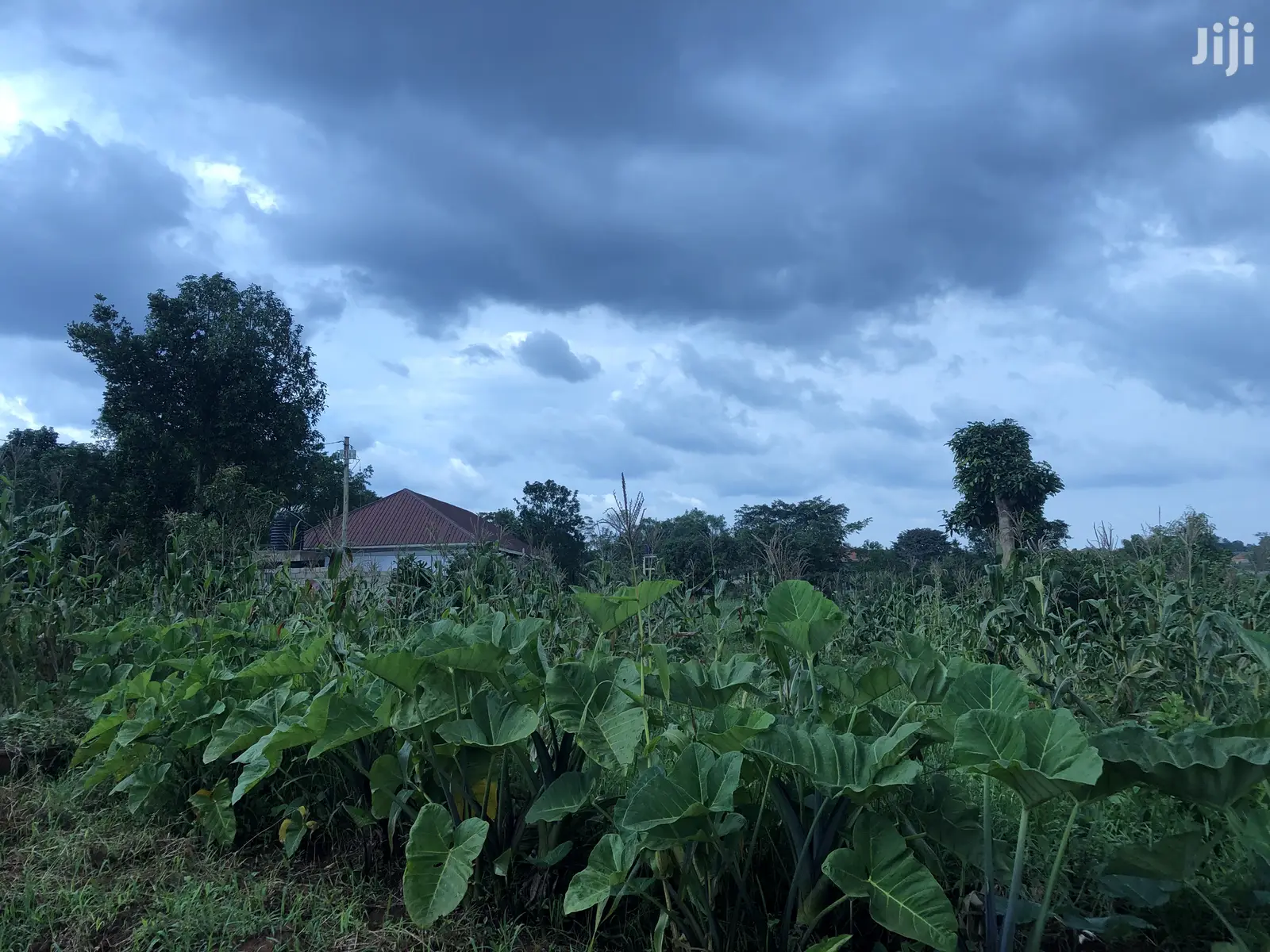 Quick Sale,Kira Titled Plot Close To Tarmack in Kampala